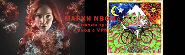 крисы Алзамай