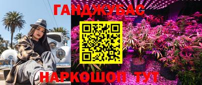 МДПВ Кунгур