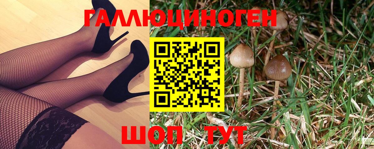 Галлюциногенные грибы мицелий Елизово