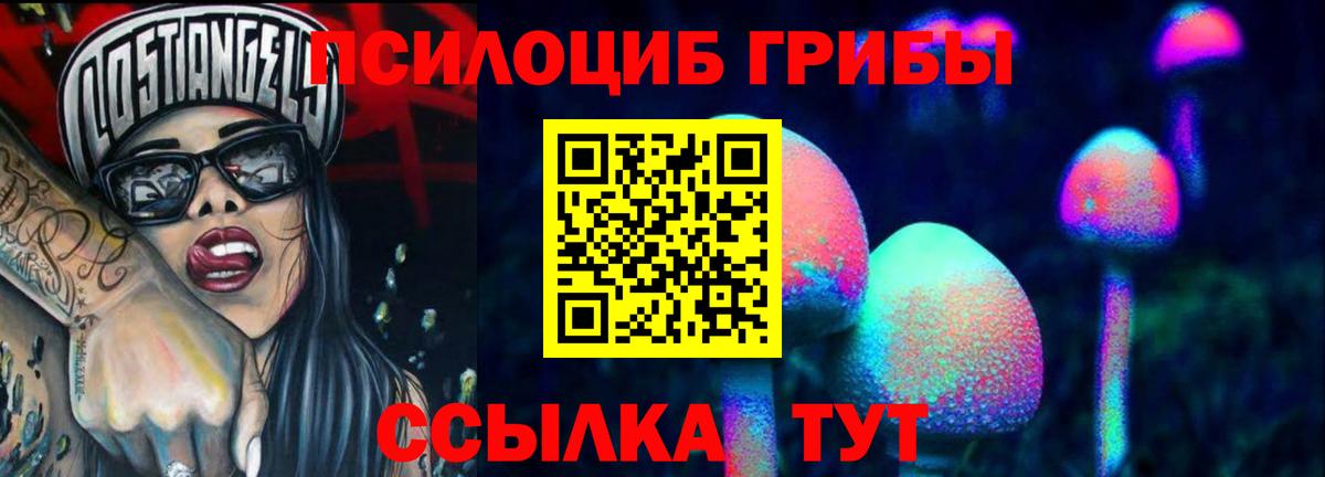 Галлюциногенные грибы прущие грибы  Вход с VPN  Елизово  Галлюциногенные грибы Psilocybine cubensis 